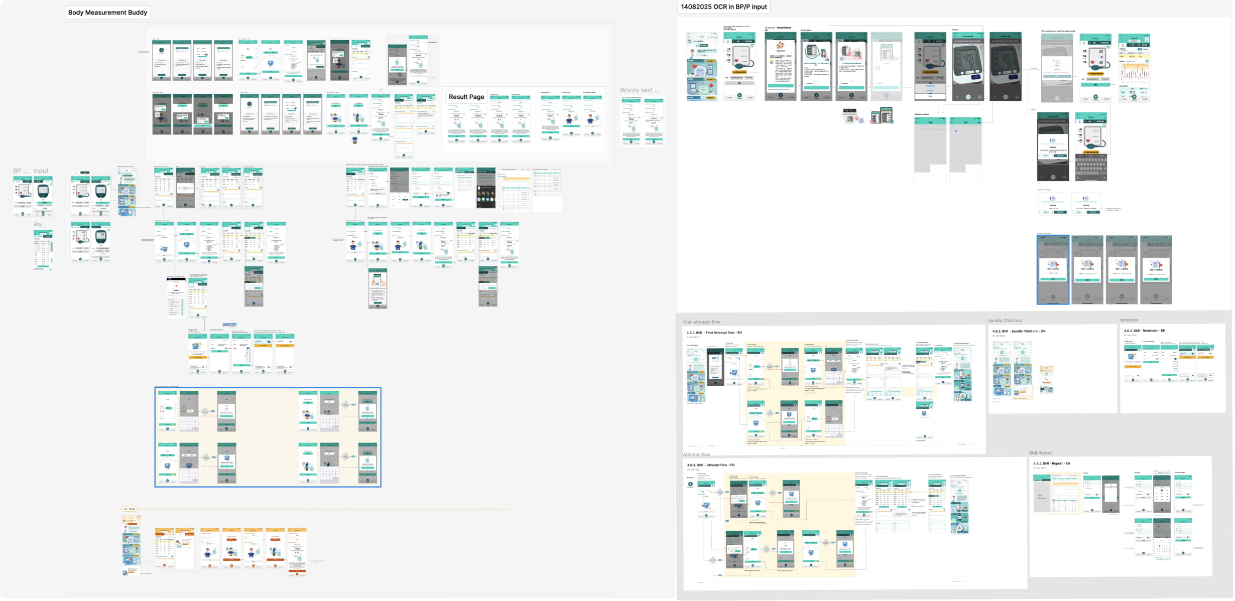 Health Management user journey and health-record input flow
